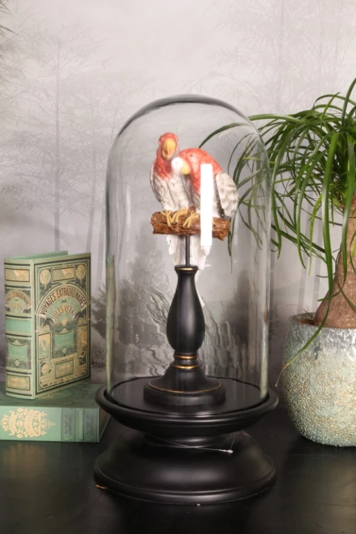 Display Case - Black - 52 cm