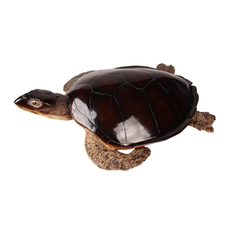 Turtle Sculpture - Brown - 88 x 23 cm