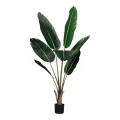 Artificial Strelitzia Plant – Green – 135 cm – 1 Piece