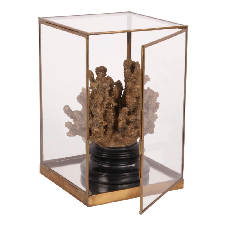Display Box - Gold - Brass and Glass - 40 cm - 1 Piece
